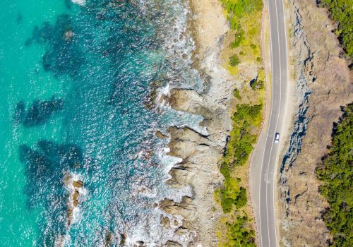 ĐÓN TẾT ĐỘC LẬP TẠI XỨ SỞ KANGAROO 