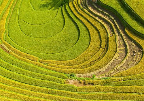 Mùa thu 2020, có những điểm du lịch nào thú vị nhất Việt Nam ?