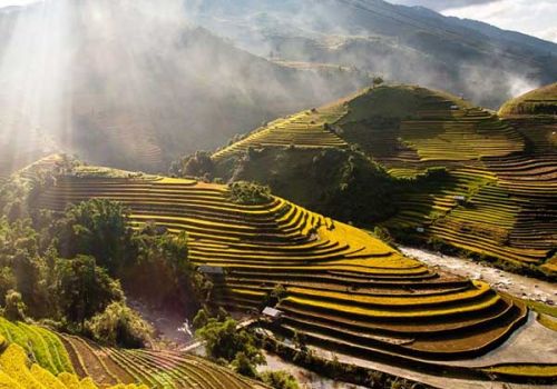 Điểm qua những lễ hội thú vị bậc nhất Mù Căng Chải trong mùa thu 2020