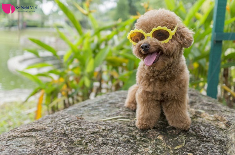 tang-thu-cung-cho-phu-nu