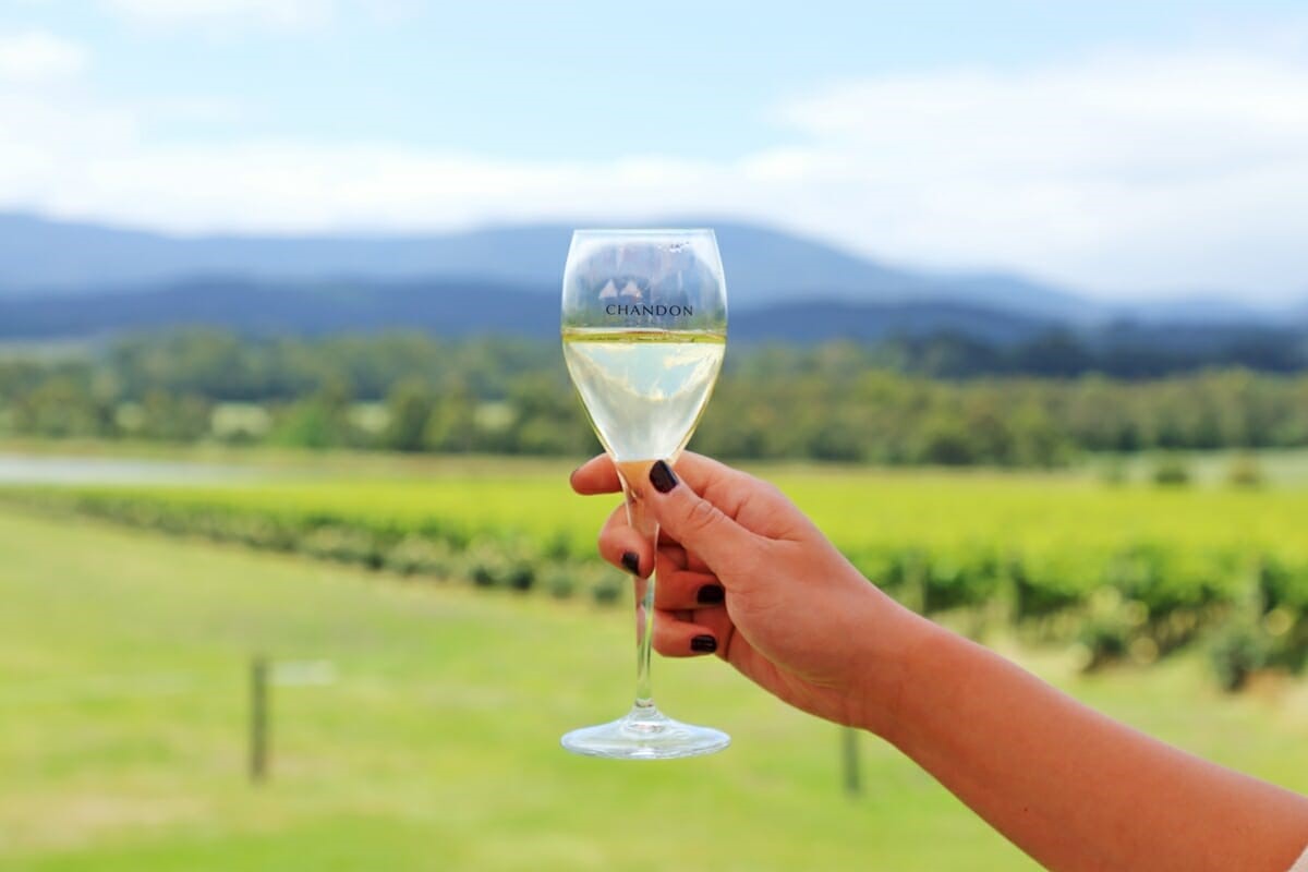 Domaine-Chandon-winery-in-Yarra-Valley-Australia