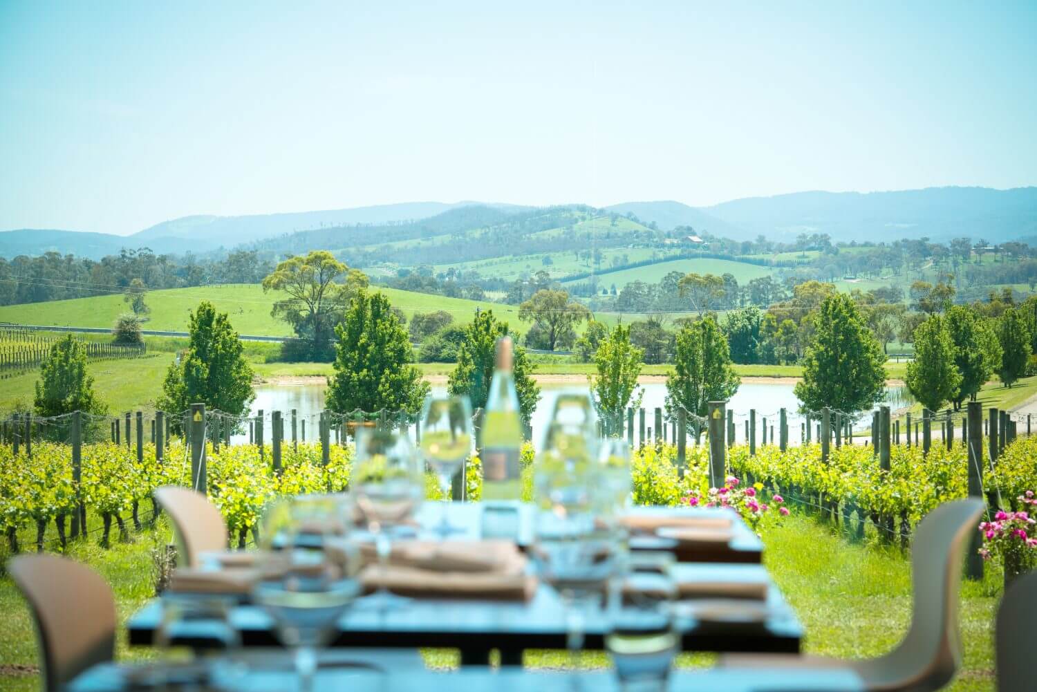 an-trua-o-nha-hang-du-lich-Uc-thung-lung-Yarra