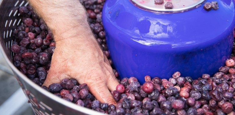 che-bien-ruou-nho-du-lich-Uc-thung-lung-Yarra