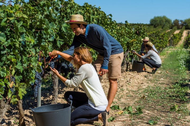le-hoi-thang-3-melbourne-du-lich-Uc-thung-lung-Yarra