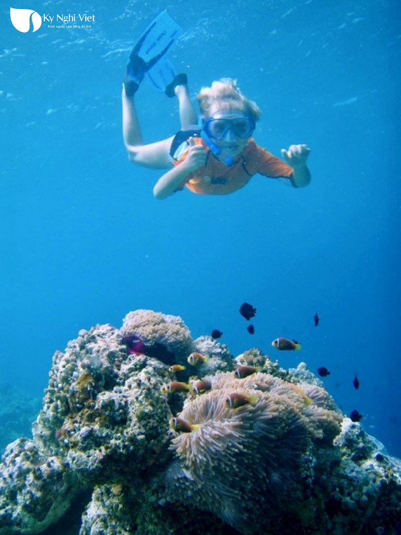 lan-bien-snorkelling-o-Maldives