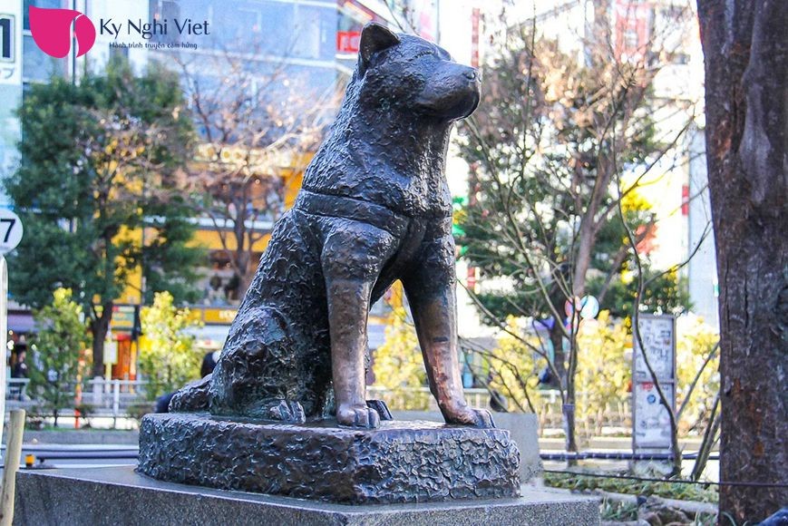 Hachiko