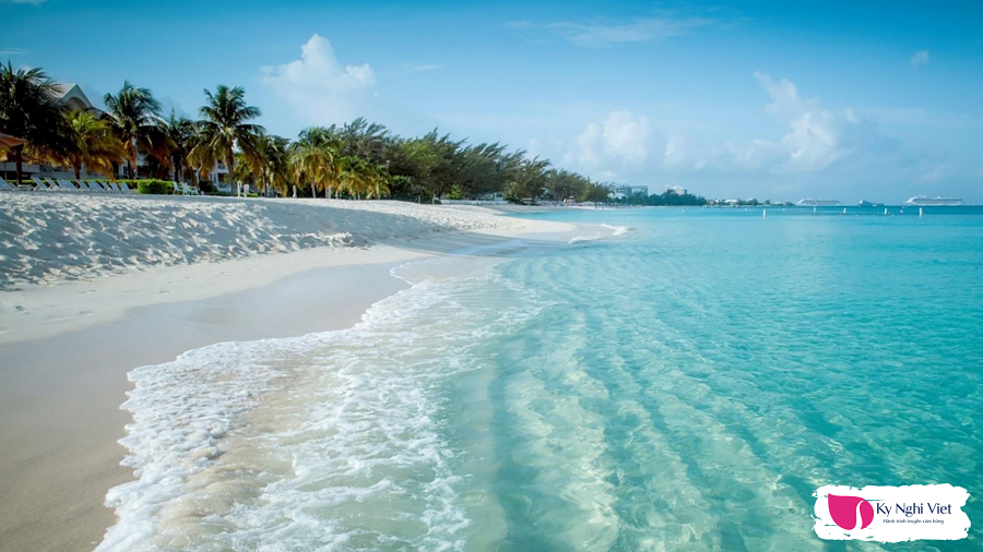 lan-ngam-san-ho-o-bien-Nha-Trang-movenpick