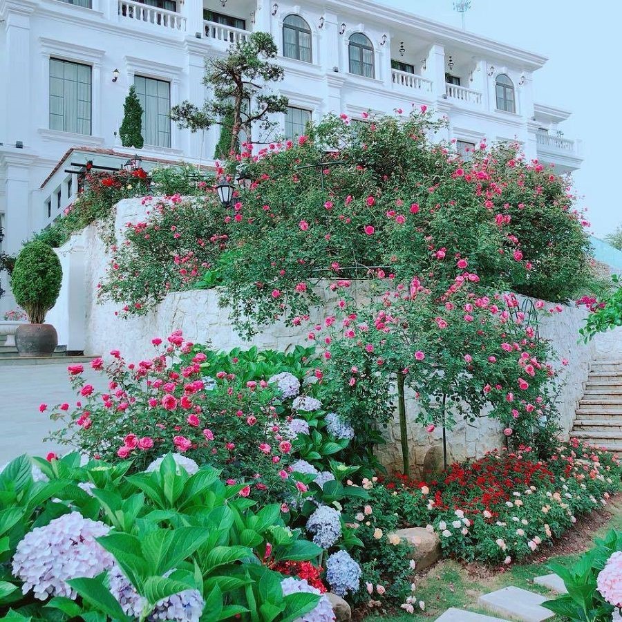 vuong-quoc-hoa-hong-silk-path-grand-resort-du-lich-sapa