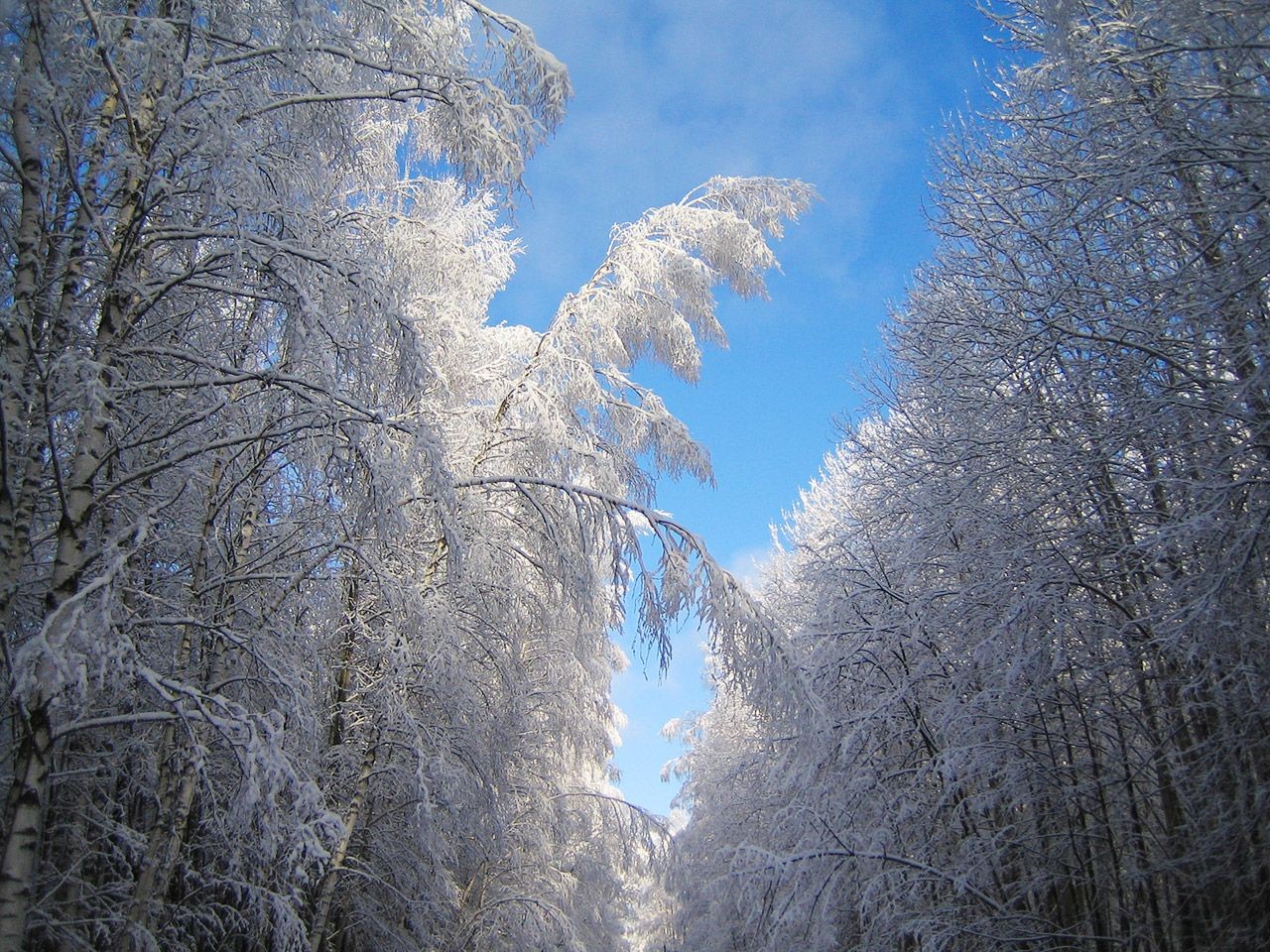 russian winter