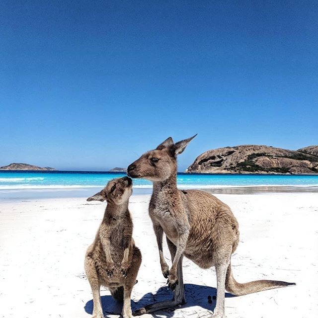 308eacfe2b962020a1d13d069eaecb46