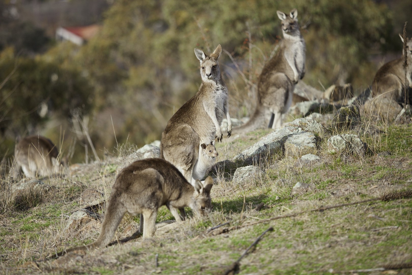 9529125224_929fb0cf03_k