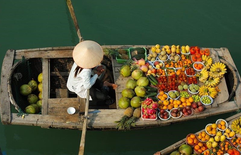 Thaophuongnguyen-173320043351-cho-1a