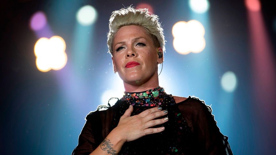 ca-si-Pink-quyen-gop-ung-ho-cho-tham-hoa-chay-rung-o-Uc