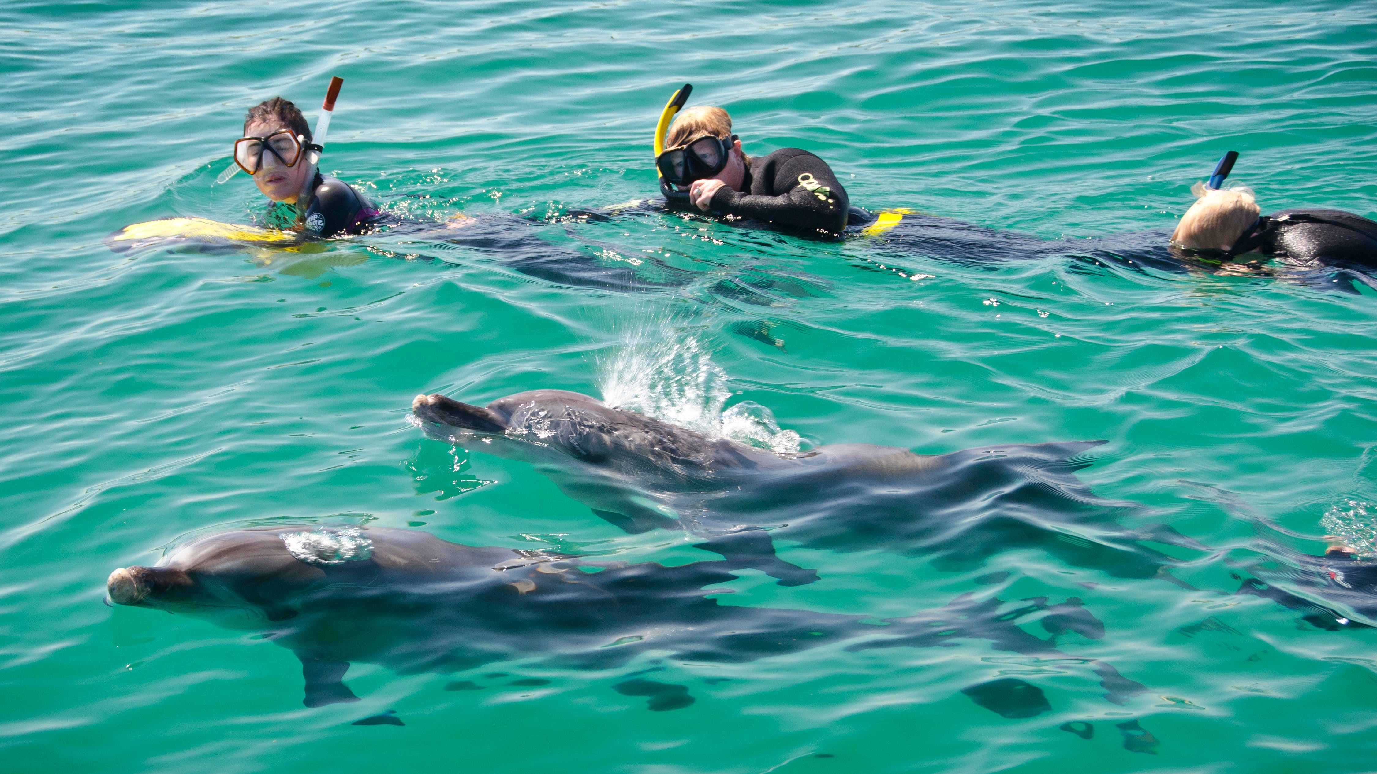 5da97954b2444a5a854b2f82dbabed69