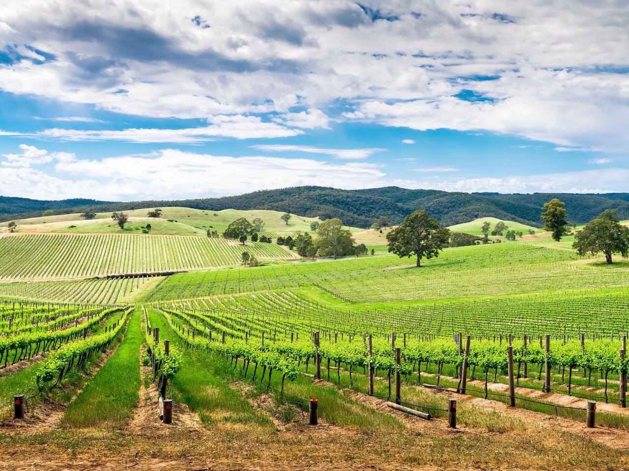 87f4bb9f222375cbc48fb1339d8cb911