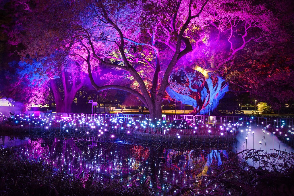 vivid-sydney-2020-vuon-bach-thao-hoang-gia-du-lich-uc