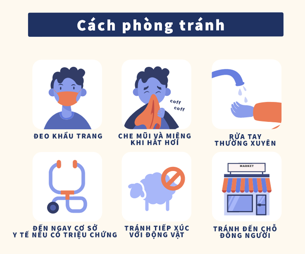 cachphongtranh