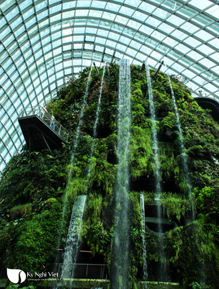 cloud-forest-du-lich-Singapore