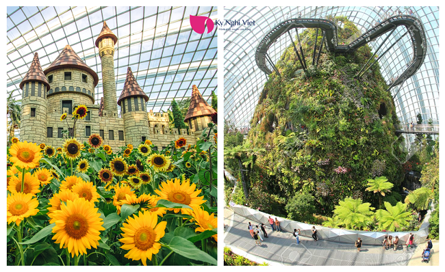 flower-dome-du-lich-Singapore