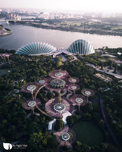 super-tree-nhin-tu-tren-cao-du-lich-singapore