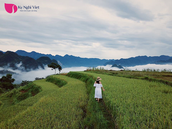 ngam-ruong-bac-thang-muot-mat-o-Pu-Luong