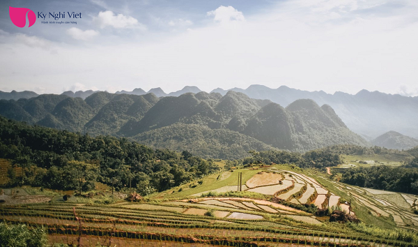 pu-luong-moc-mac-trong-treo-thanh-binh