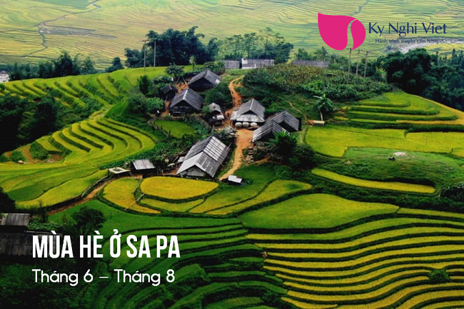 mua-he-sa-pa-thang-6-8