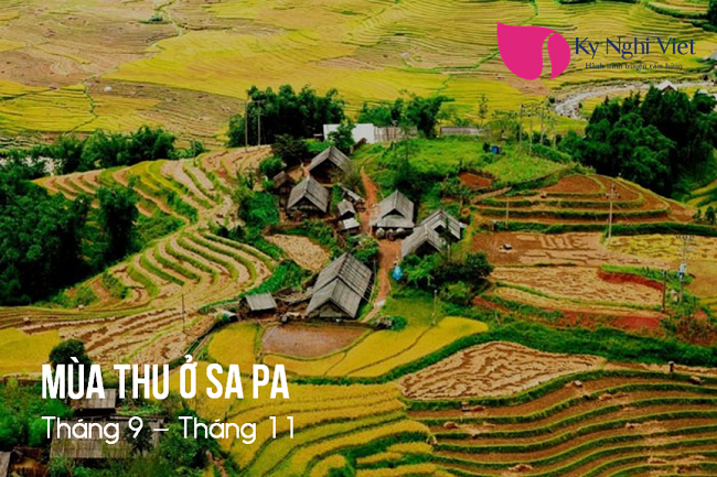 mua-thu-sa-pa-thang-9-11